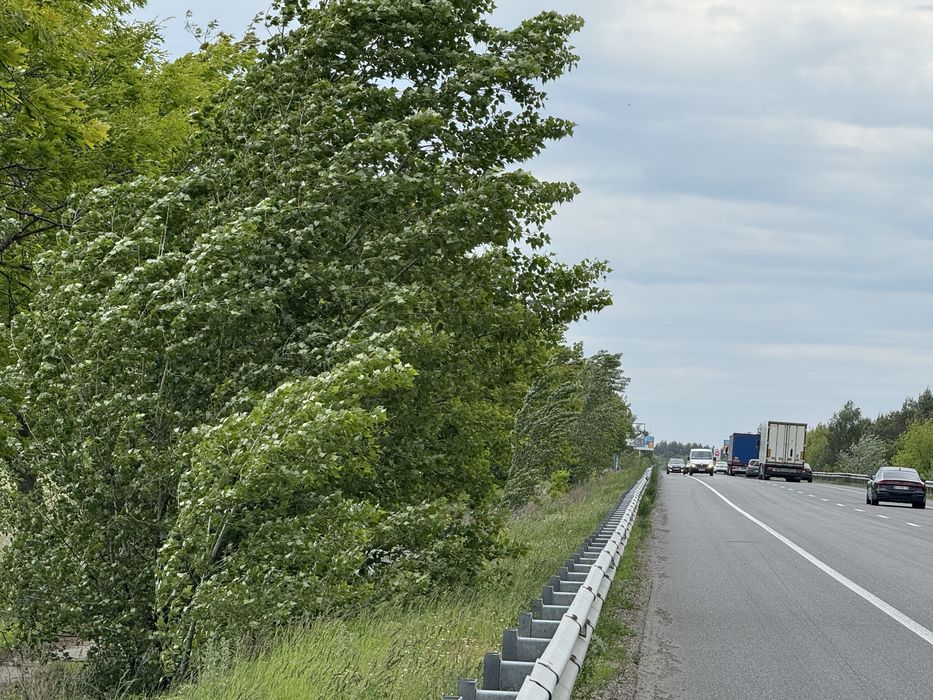 Земельна ділянка.Фасад ! 8га! с.Микуличі