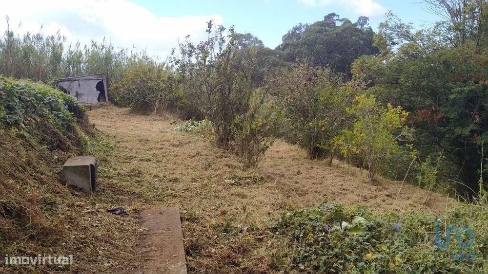 Terreno em Gaula de 660,00 m2