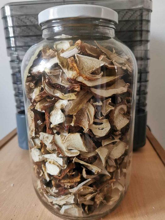 Grzyby suszone prawdziwki