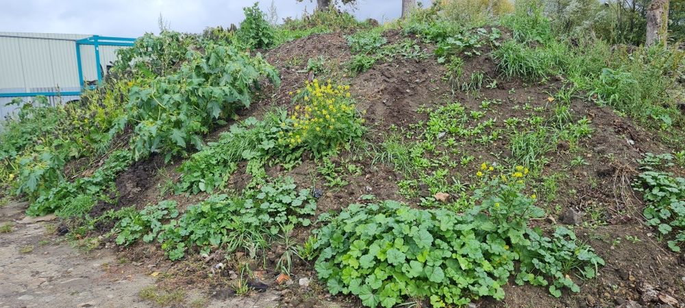 Ziemia humus za darmo oddam czysta bez gruzu