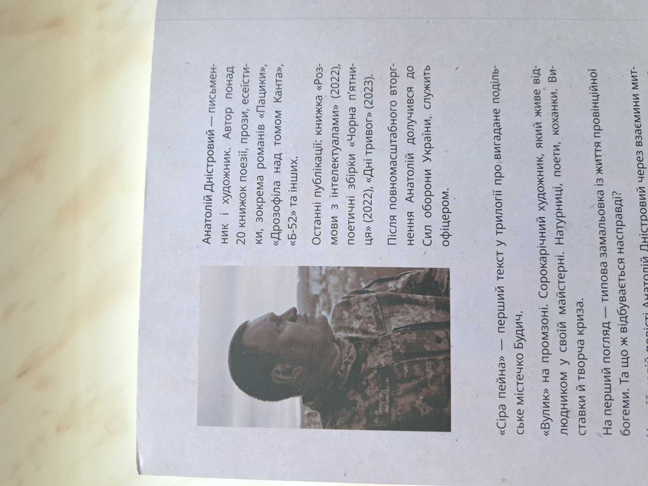 Сіра пейна. Анатолій Дністровий