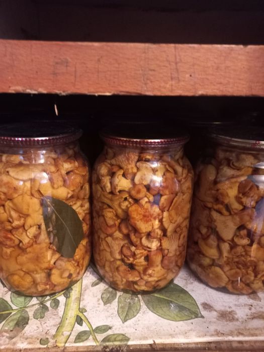 Гриби лисички мариновані