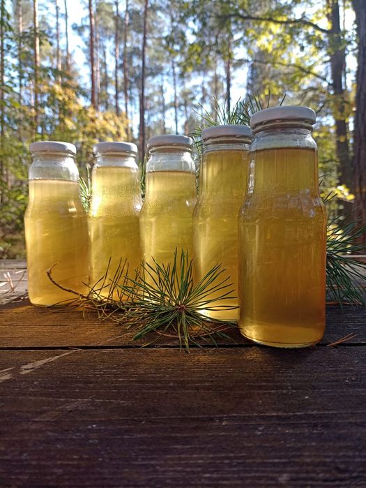 Syrop z młodych pędów sosny. 330 ml. Ostatnie sztuki