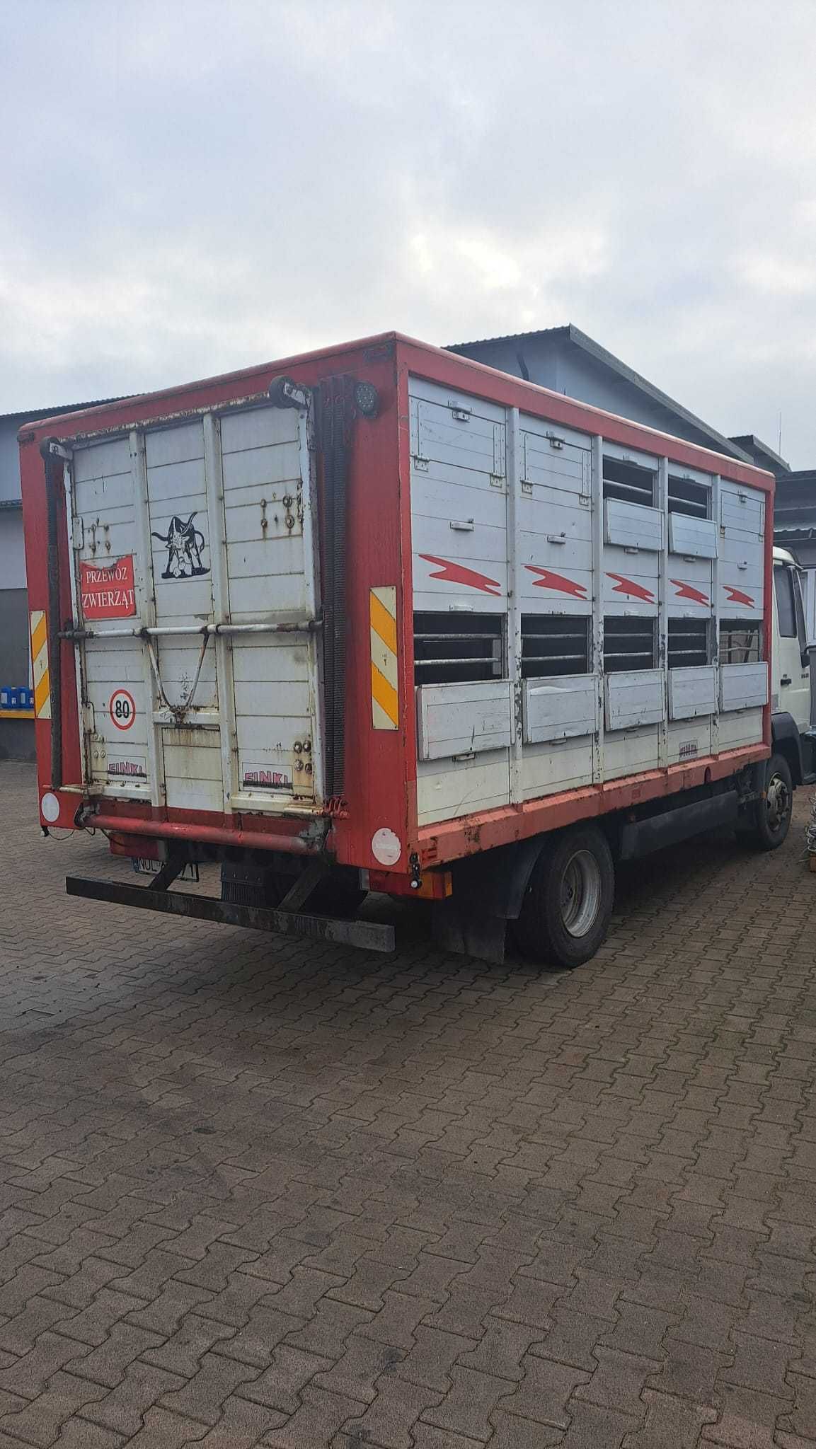 MAN 10.225 LC do przewozu żywca