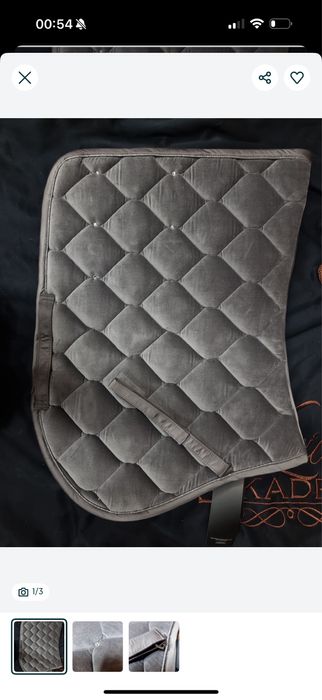Eskadron fossil full fv