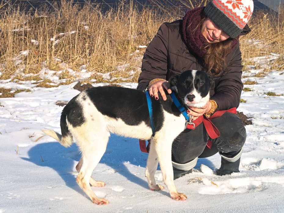 Nieśmiały, wrażliwy Modi czeka na swojego człowieka