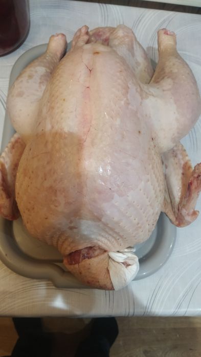 Тушка індика біг6 (3,5місяці)