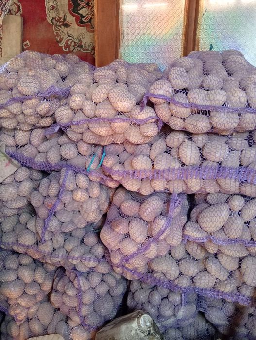 Продам домашню картоплю  велика