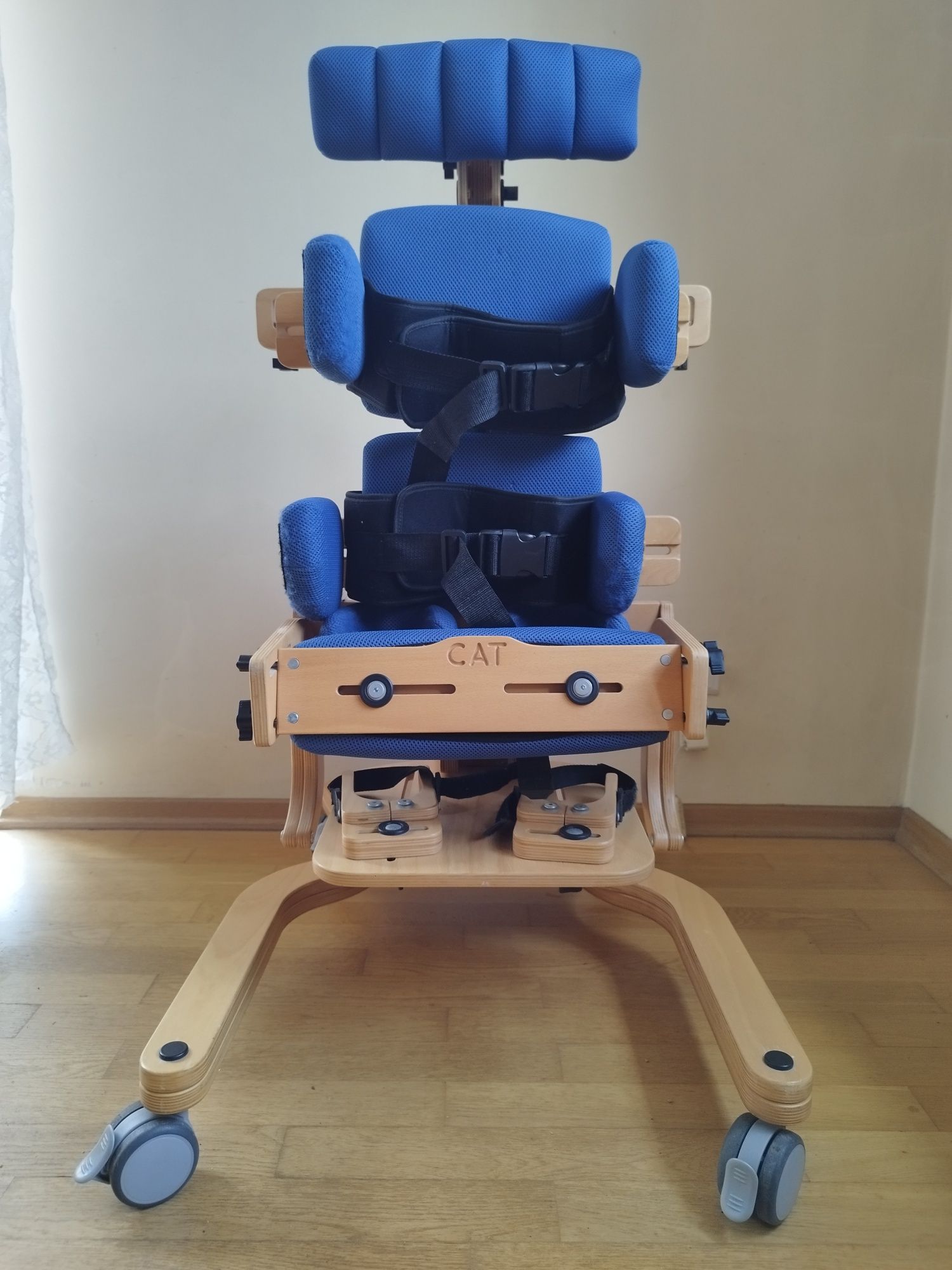 Pionizator kotek 2