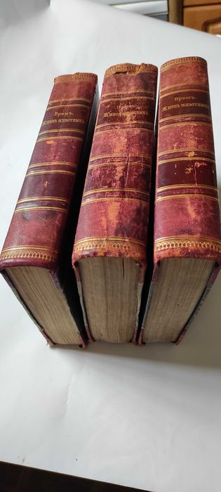 Жизнь животных Брэма. В трех томах. 1904 г.