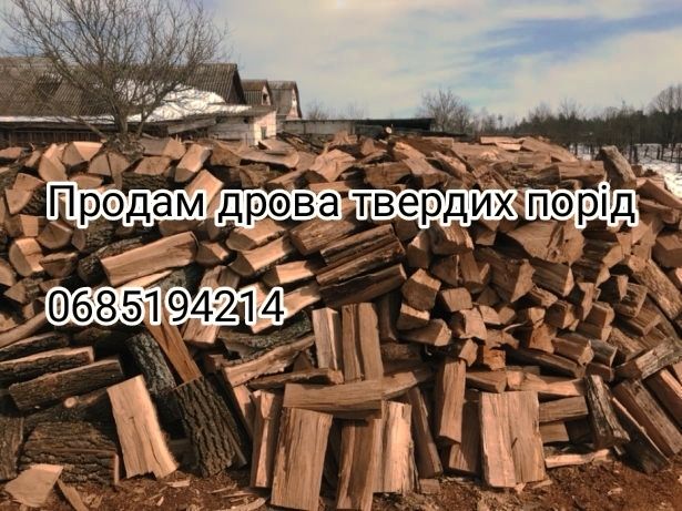 Продам дрова рубані метровками
