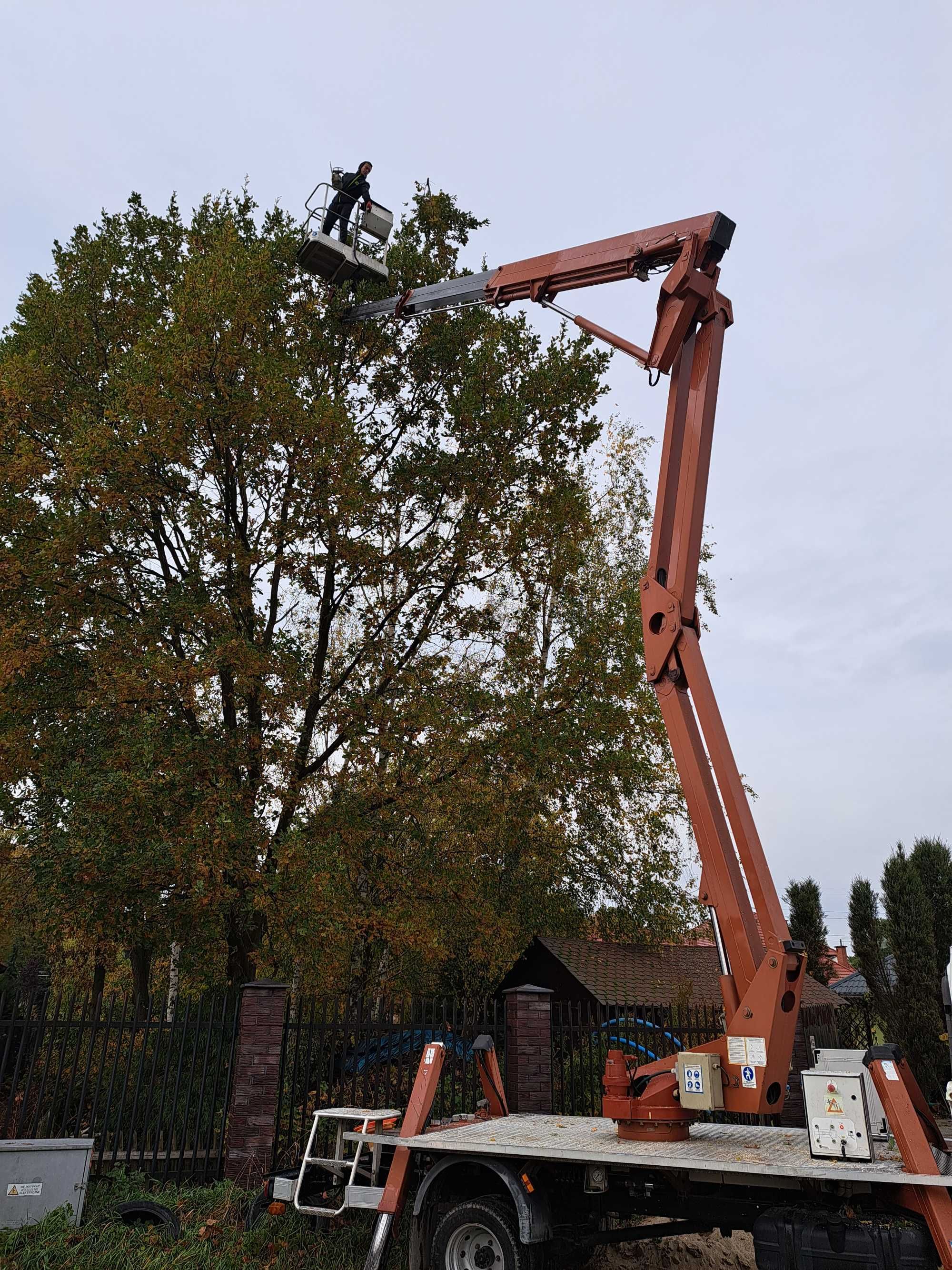 Wycinka i przycinanie drzew z użyciem podnośnika koszowego