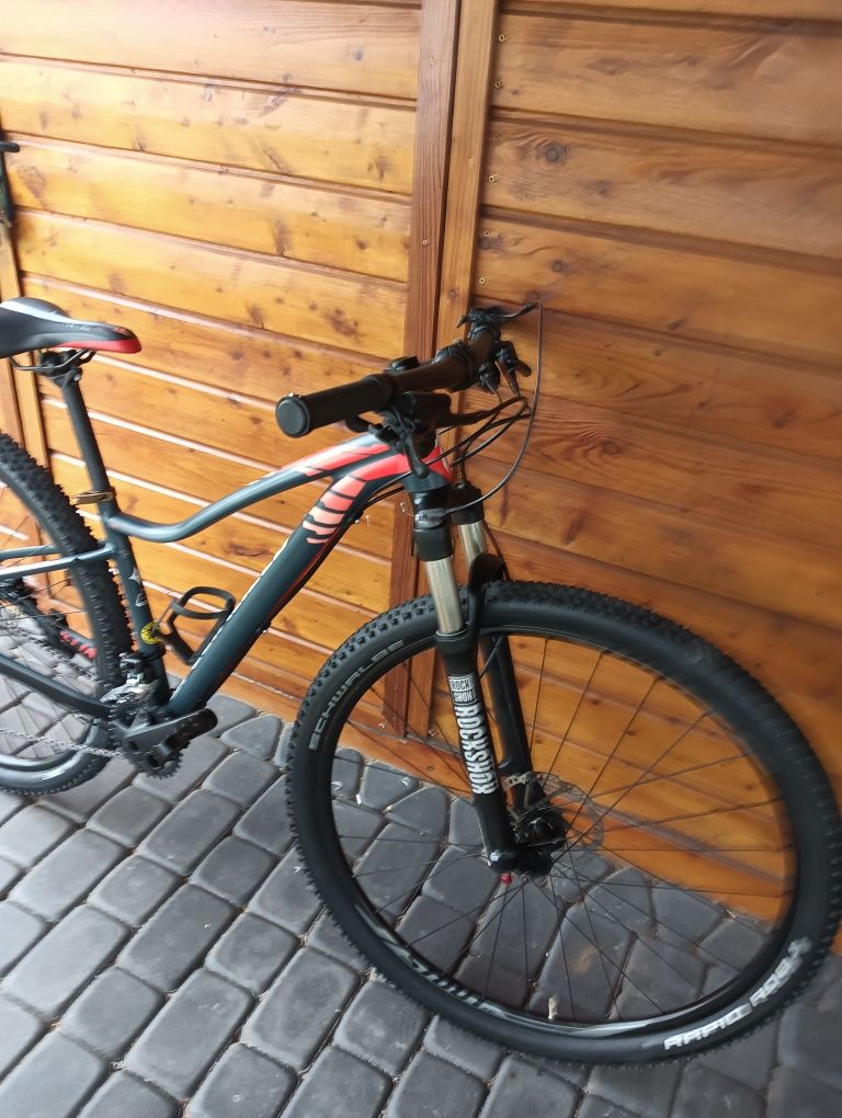 Rower Specialized 29
