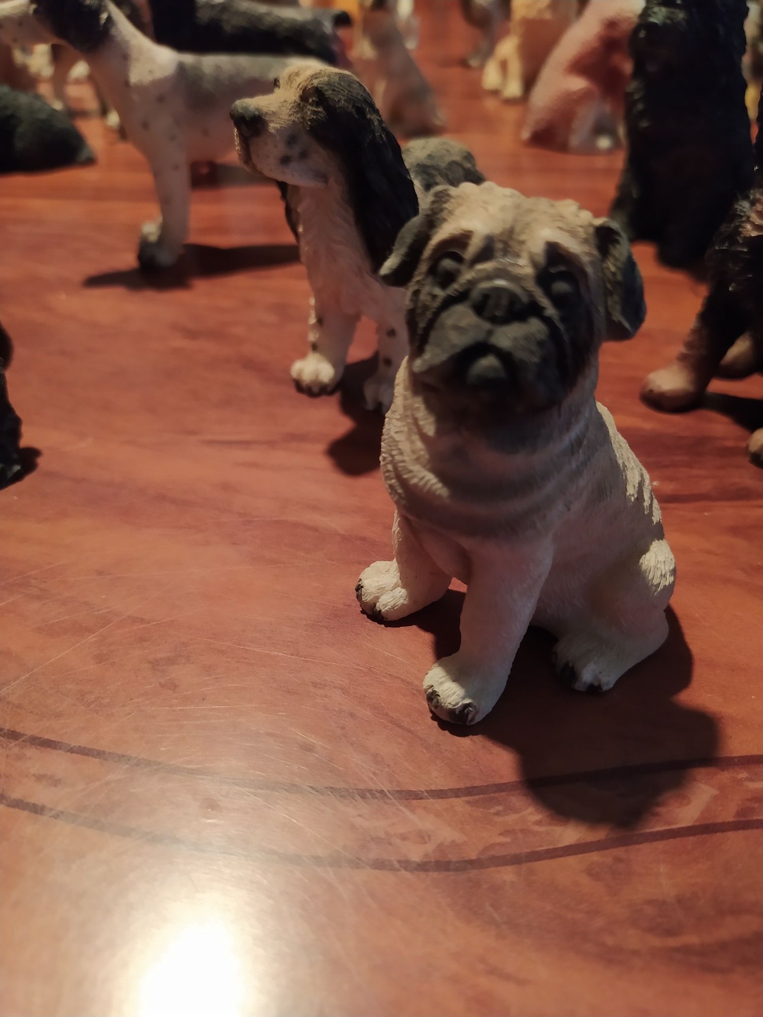 43 miniaturas de cães