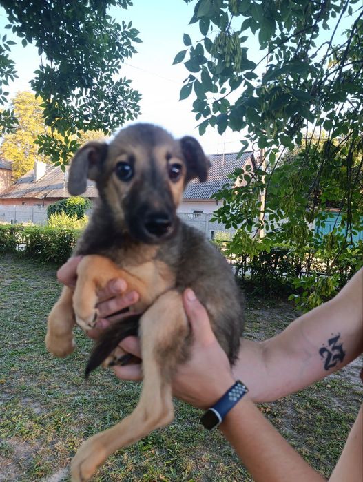 Малюки в родини!