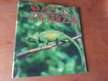 Czasopismo Atlas zwierząt (numer 2) + segregator
