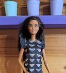 Barbie fashionistas