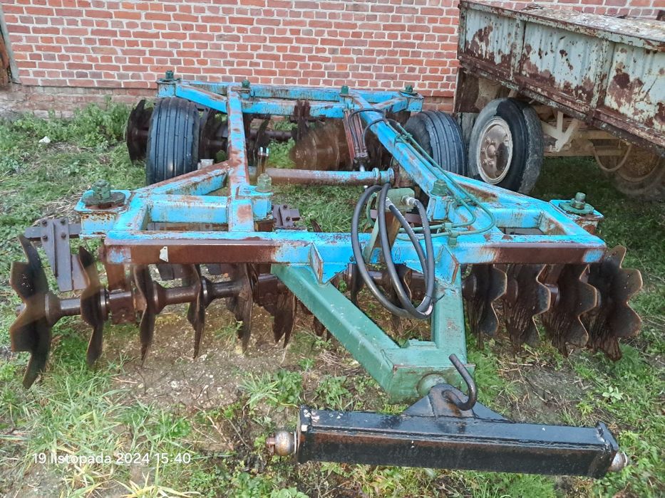 Talerzówka ruska 3.2