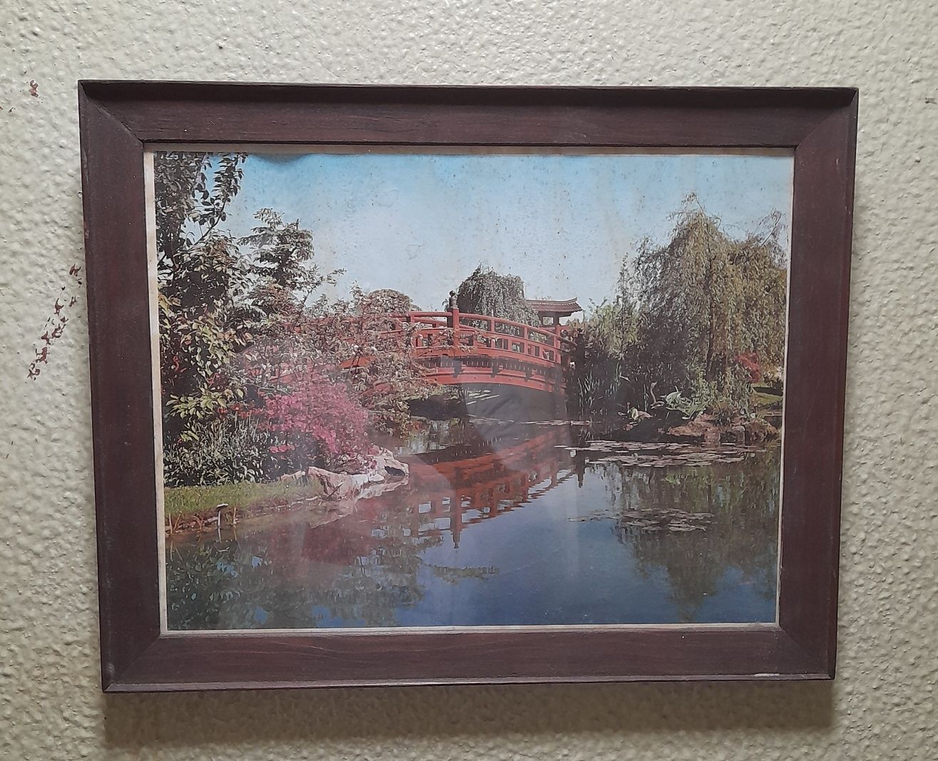 Quadros decoração Oportunidade