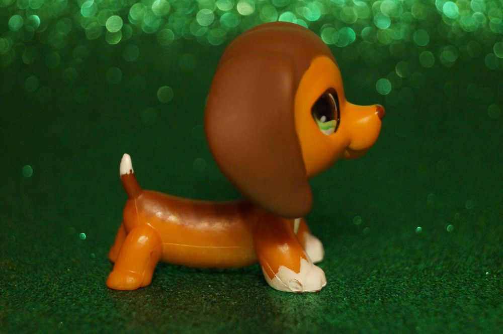 Littlest Pet Shop LPS jamnik #675 oryginalny pop Savannah