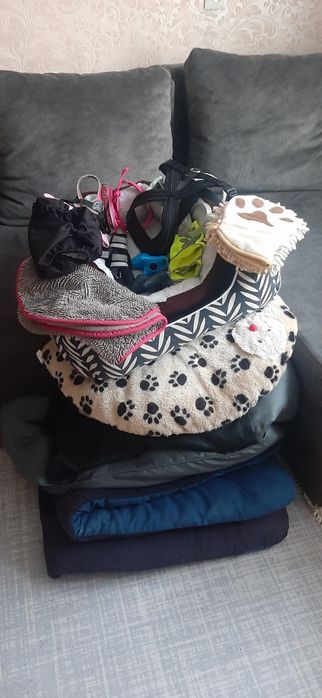 Лежанки , одяг , амуніція , та багато іншого