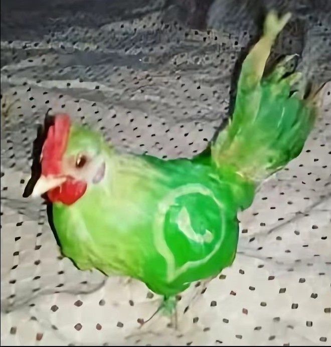 Сборка пк на ваш бюджет та апгрейд Або чистка