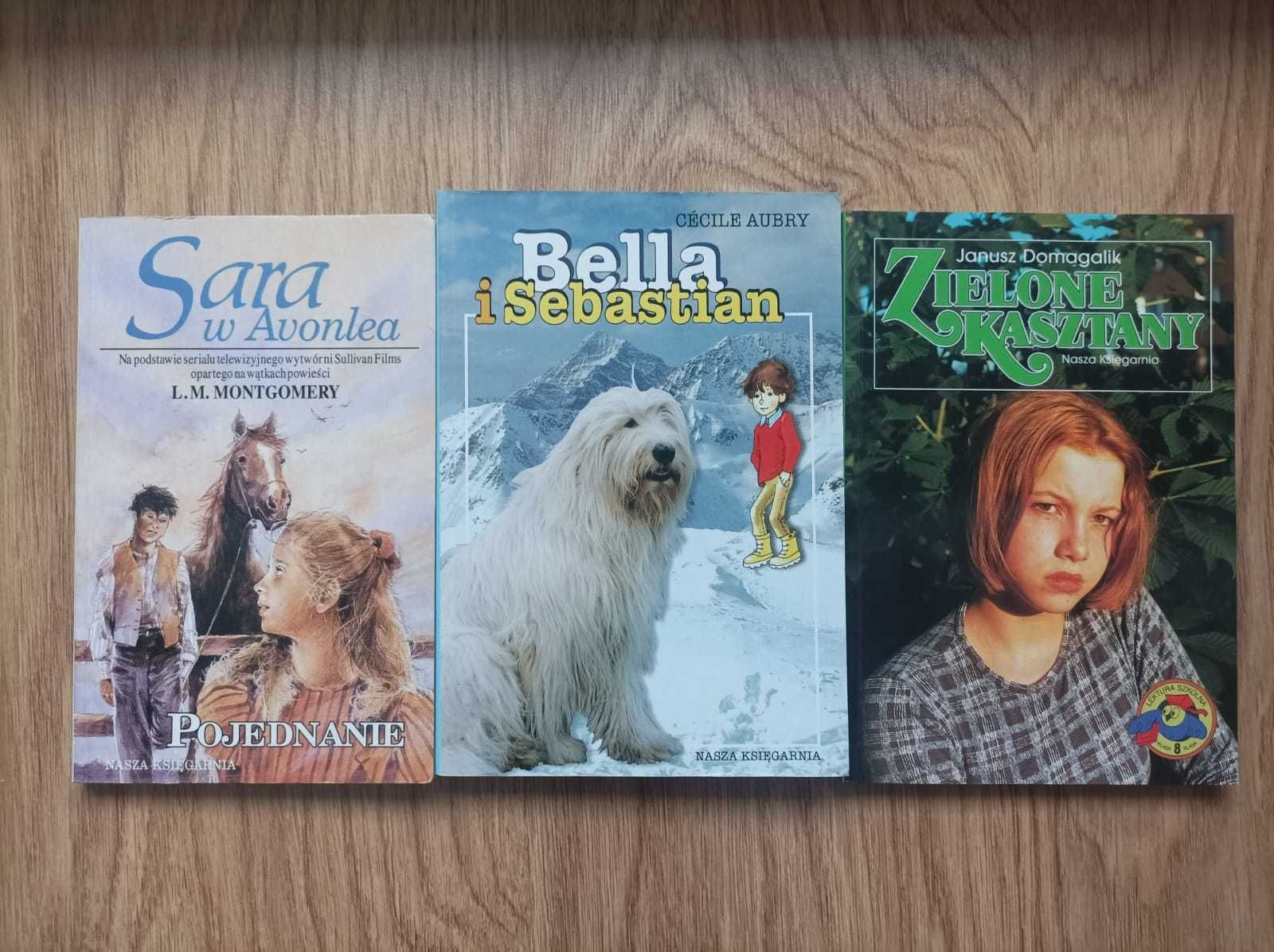 Książki Sara w Avonlea, Bella i Sebastian, Zielone Kasztany