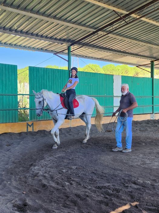 Festas de aniversário , com  contacto com cavalos