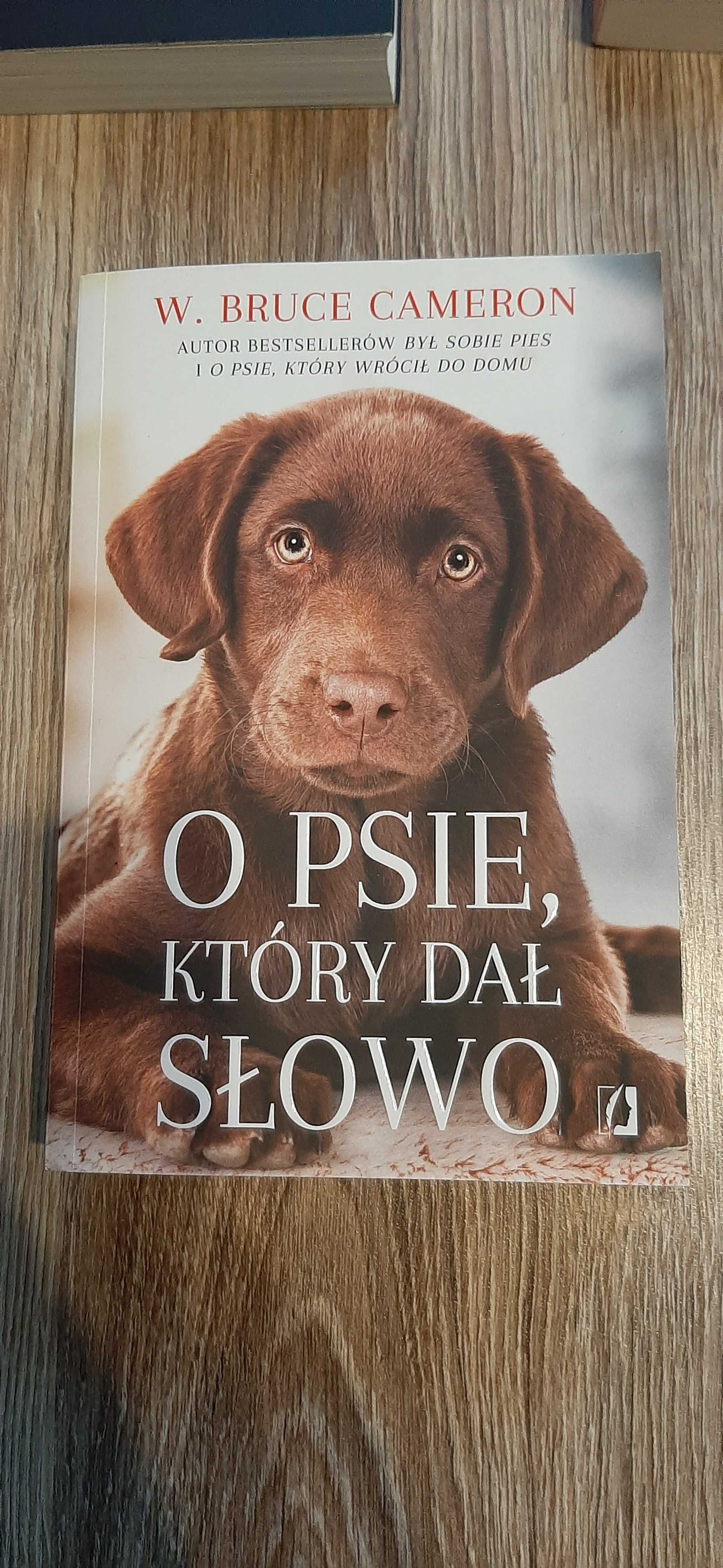 Sprzedam książkę O psie, który dał słowo W. Bruce CAMERON