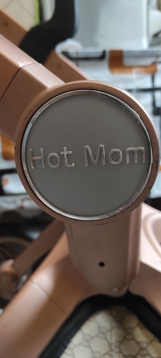 Коляска Hot Mom Gucci 2в1