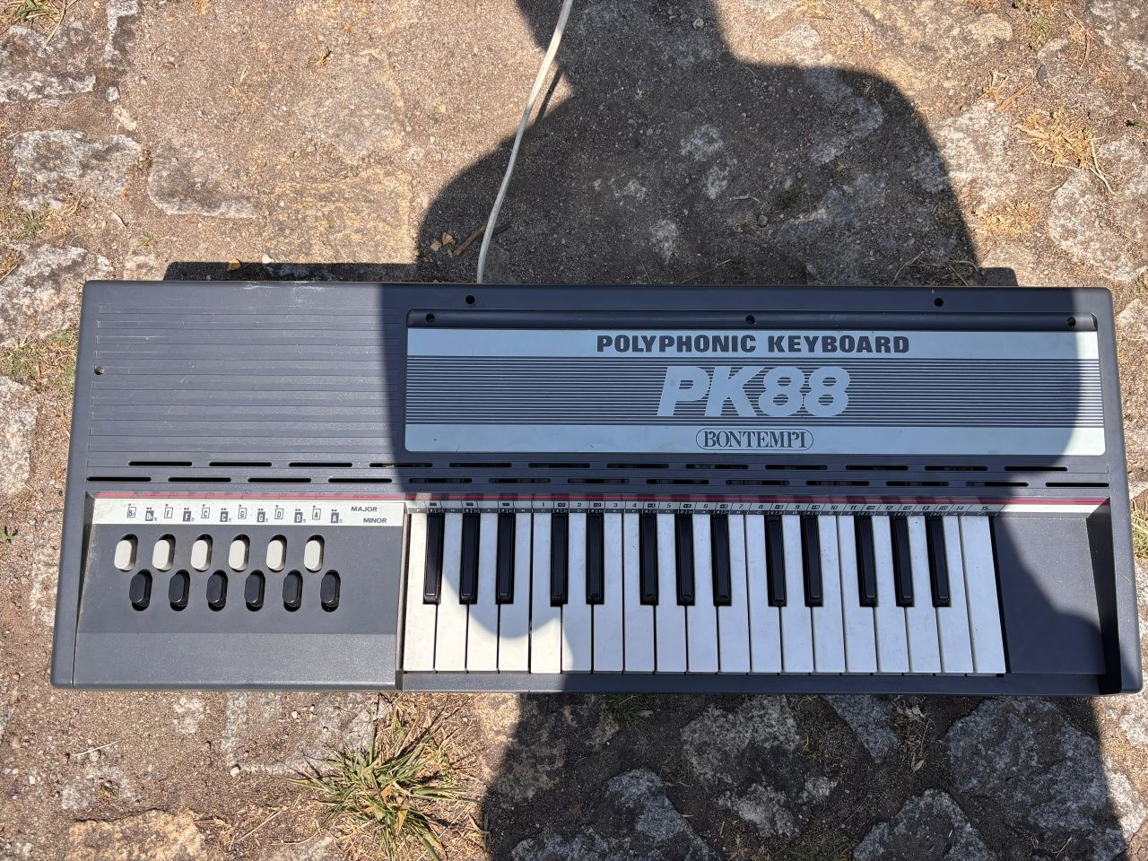 Órgão Elétrico PK88