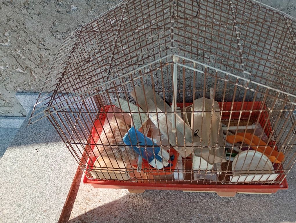 Gaiola com acessórios