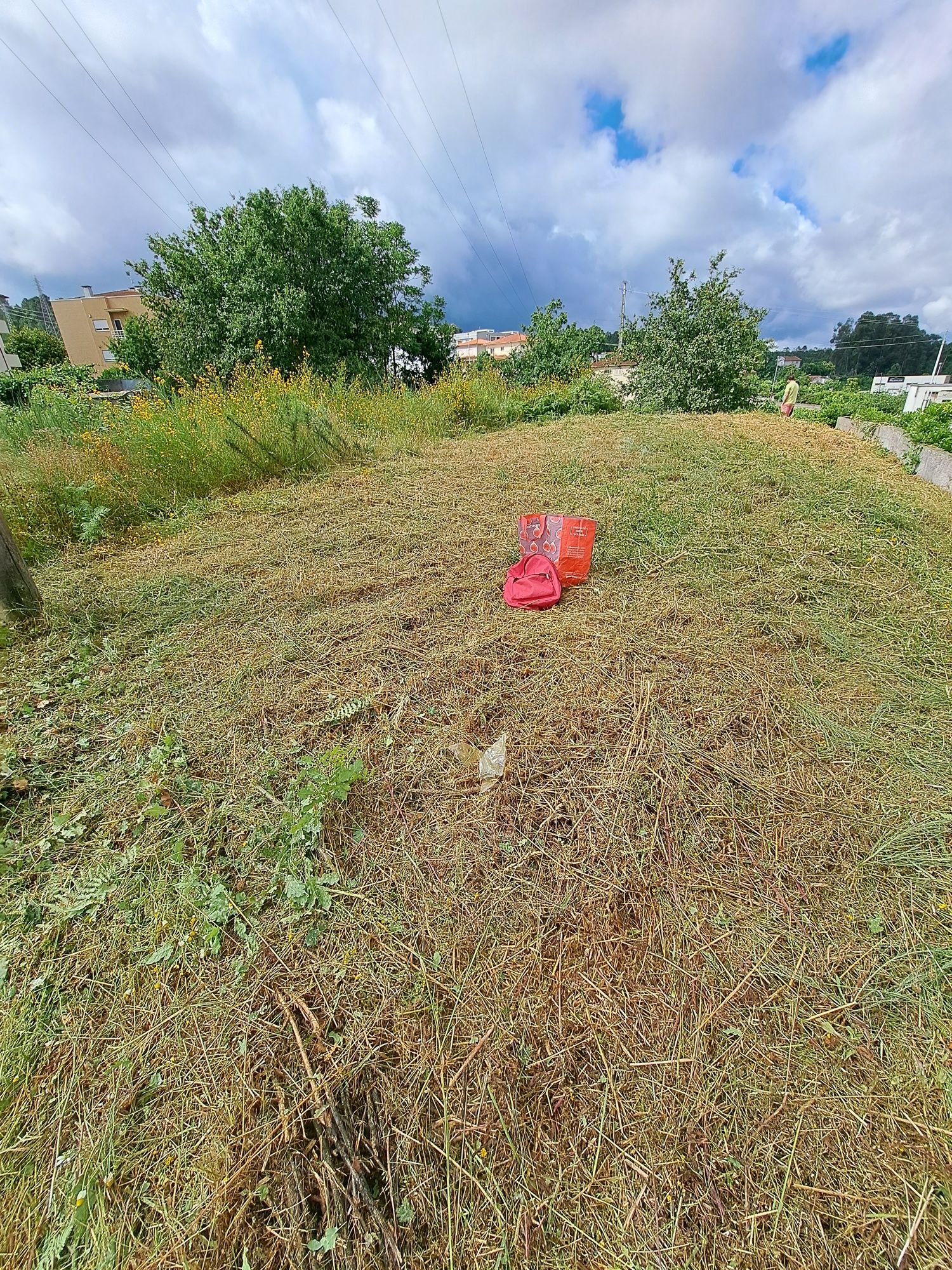 Todo o tipo d limpezas terrenos