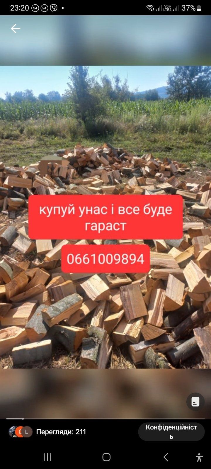 Чернівці дрова тверда