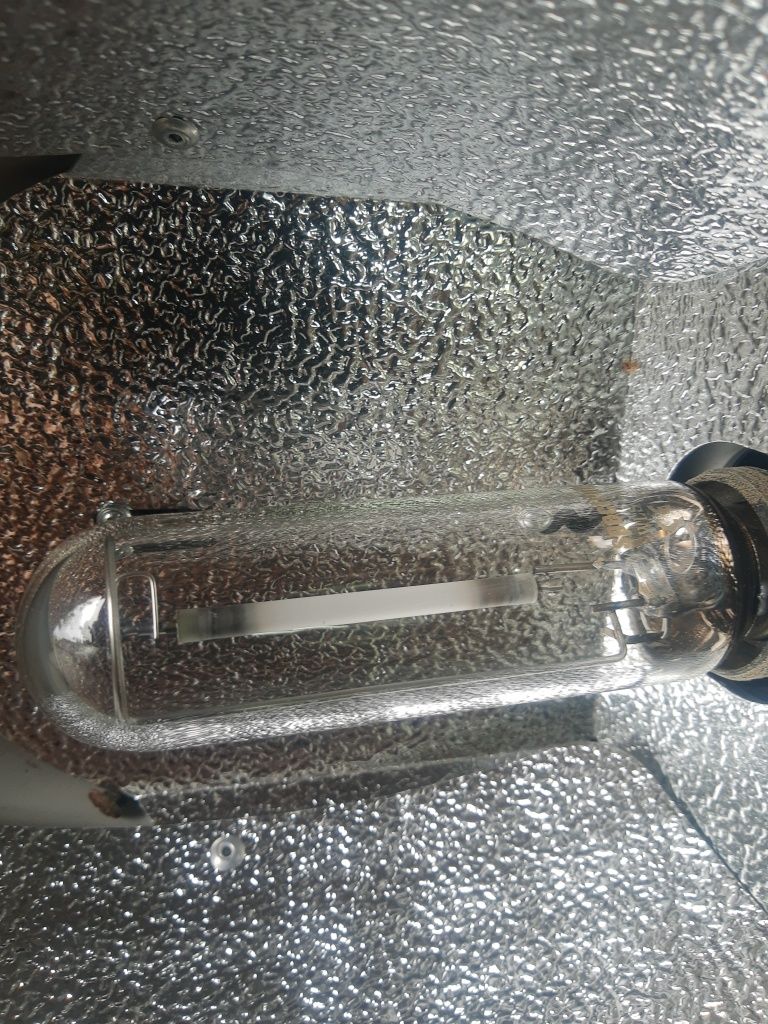 Trzy lampy uliczne