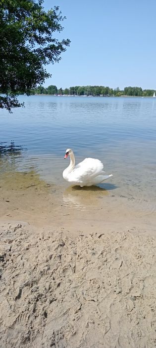 Domek letniskowy nad jeziorem. Rabaty!!!