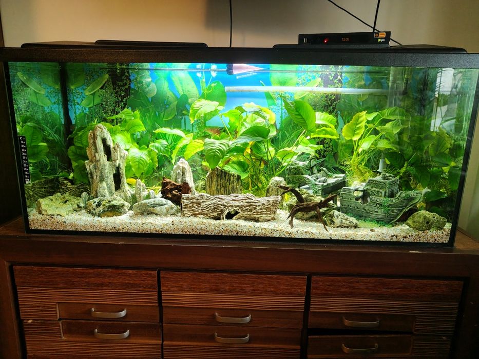 Na sprzedaż akwarium o wymiarach 240l 120x40x50 cm