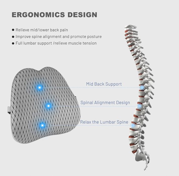 Livtribe Poduszka Wspierająca Lędźwie, Poduszka Podtrzymująca Plecy