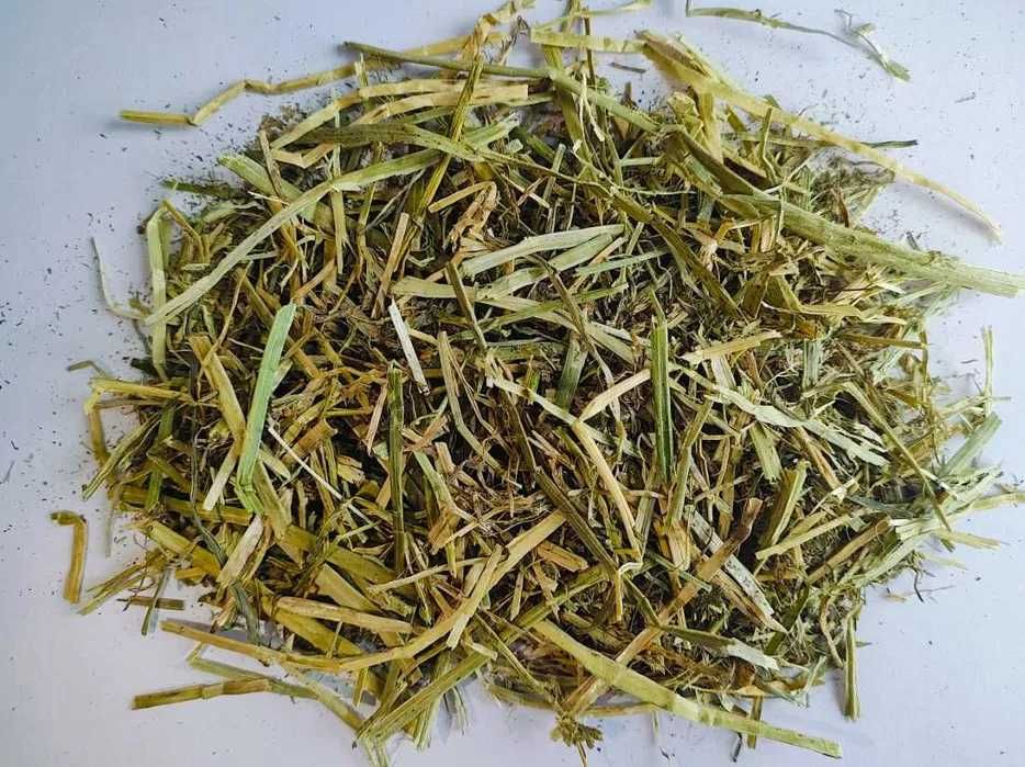 Sieczka z lucerny dla koni (20kg) WIŚTA WIO - dostawa KURIER