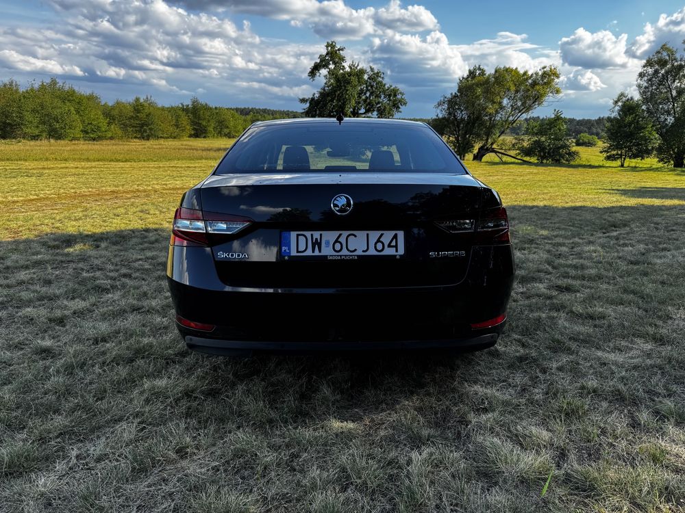 Skoda Superb 2.0 TDI 2019r