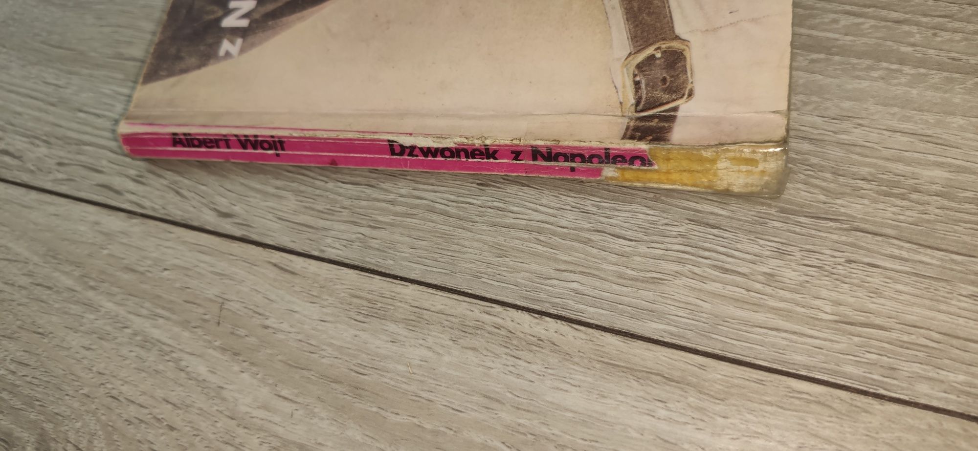 Dzwonek z Napoleonem - Albert Wojt