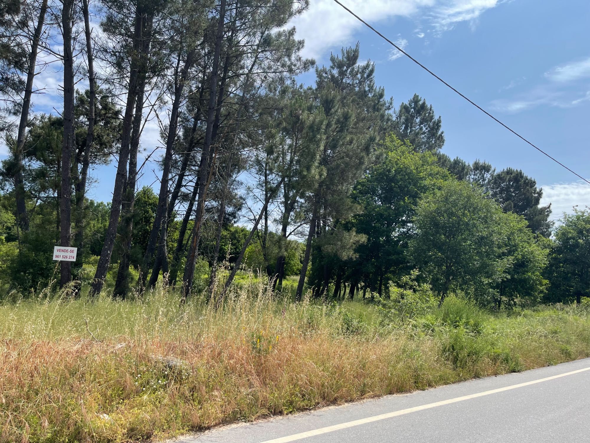 Terreno para construção em Lages 7 mil m2