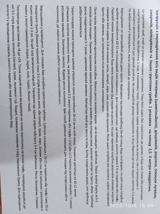 Міцелій печериці королівської