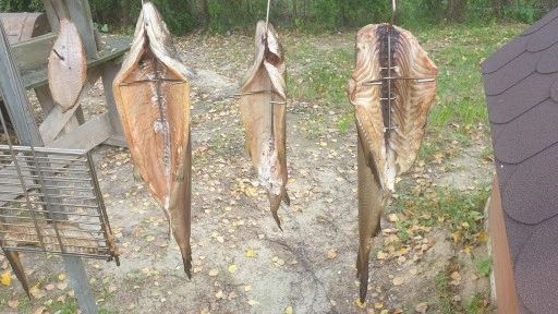 Haki Do Wędzenia RYB DZWONKO HALIBUT KARP 5 sztuk