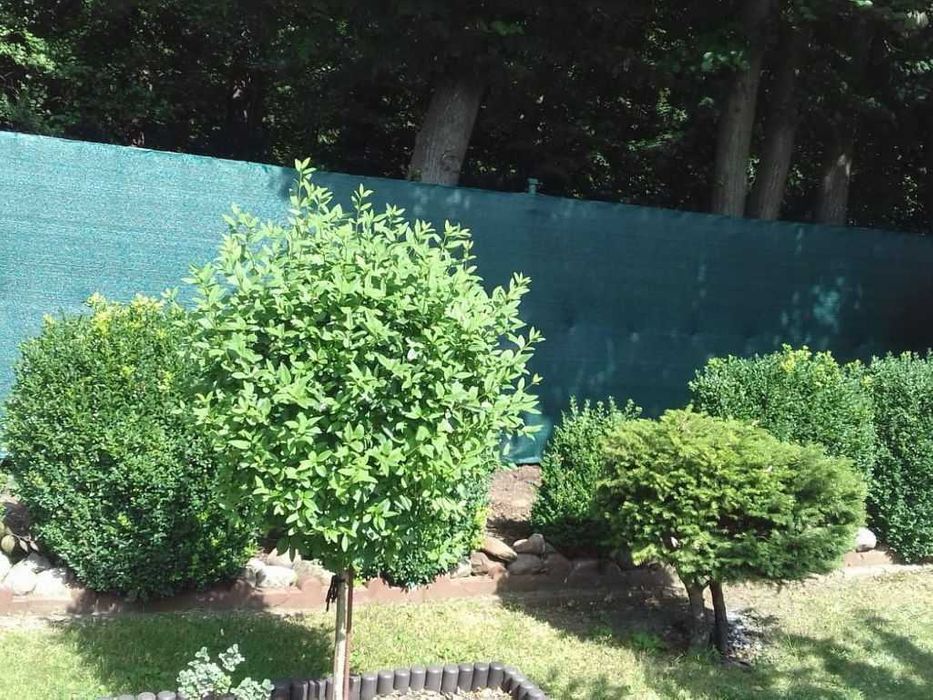 Mata cieniująca 1,2x50m Linarem 140g/m2. 90%