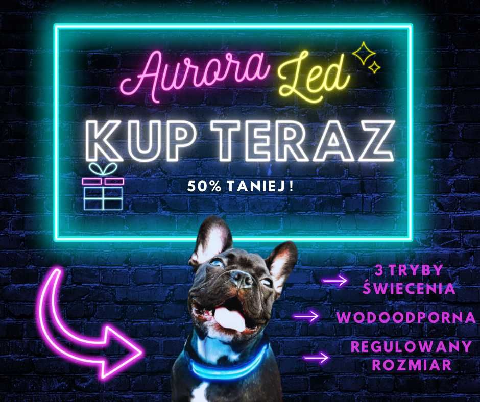 Aurora - Obroża świecąca LED dla psa