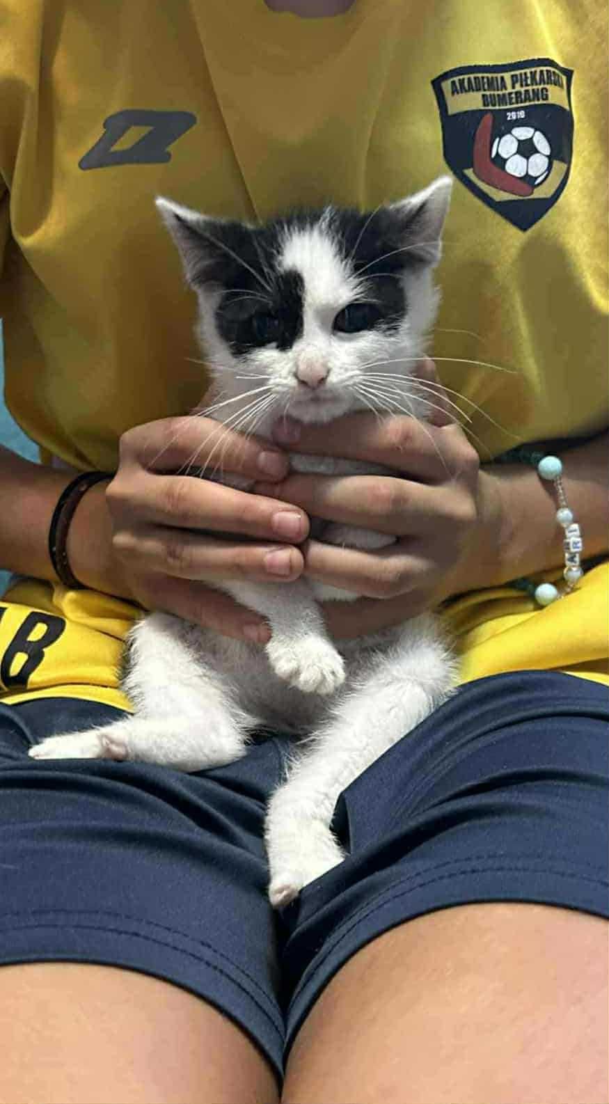 mały Simba pilnie szuka domku