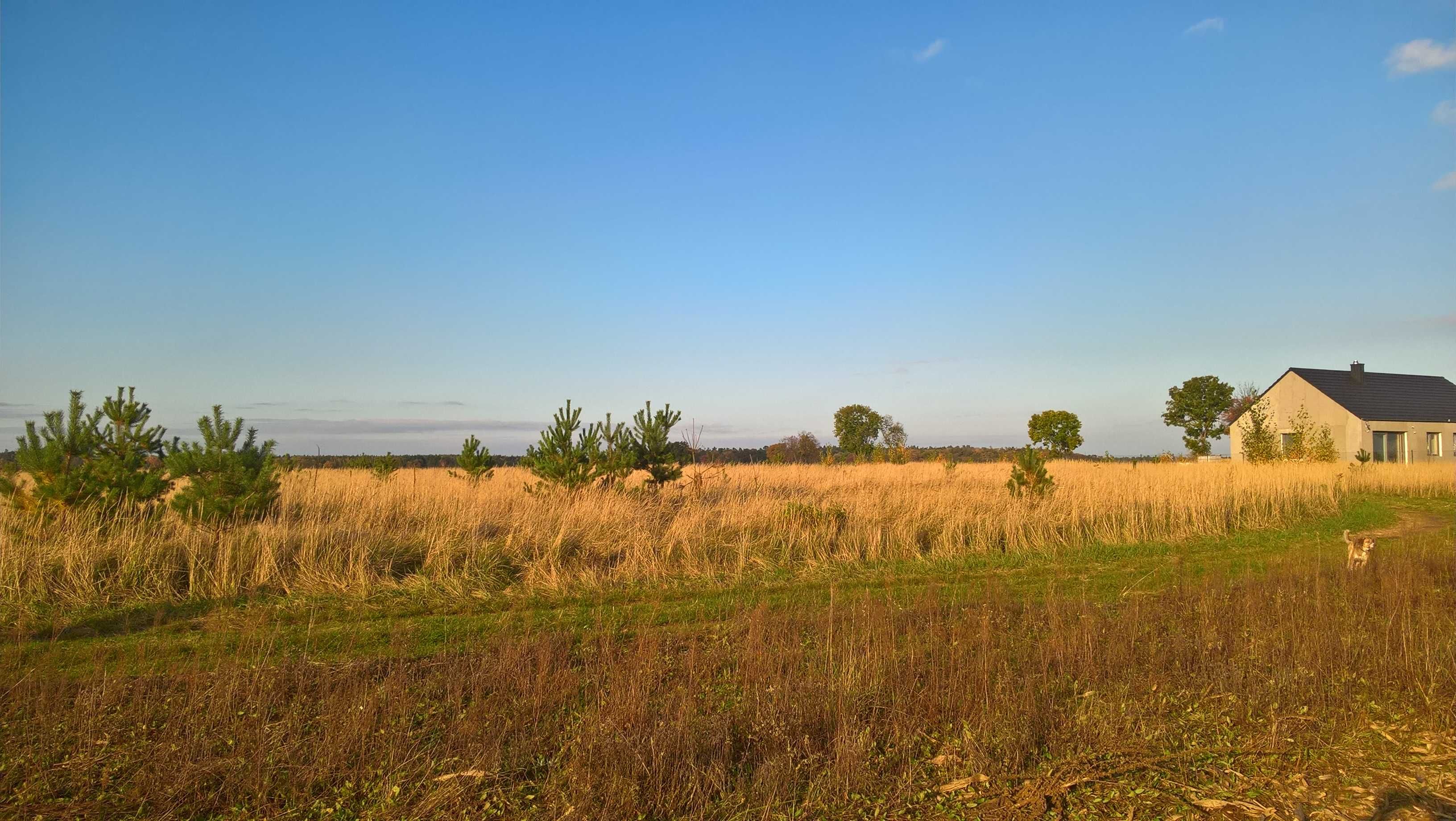 Luciny, działka budowlana 1500m2, warunki zabudowy