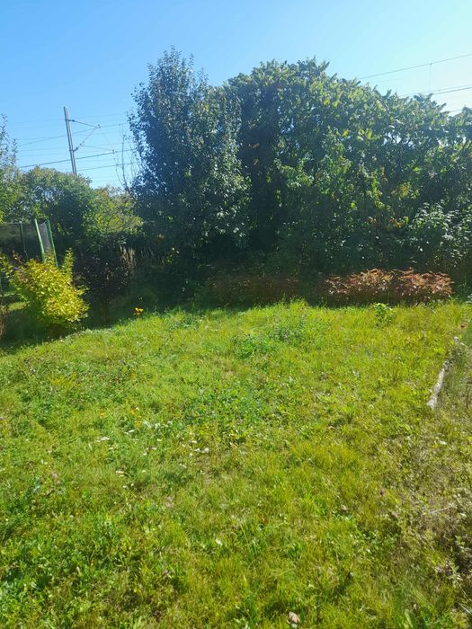 Działka ROD z urokiem natury