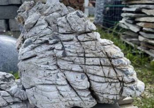 Naturalny Kamień do Akwarium Wapień Lawa Łupek Drzewiasty Filitowy